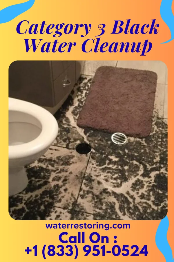 Category 3 Black Water Cleanup in St. Marys Point, MN