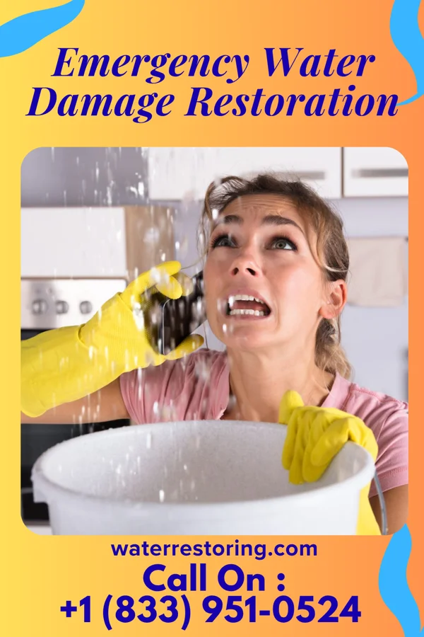 Emergency Water Damage Restoration in St. Marys Point, MN