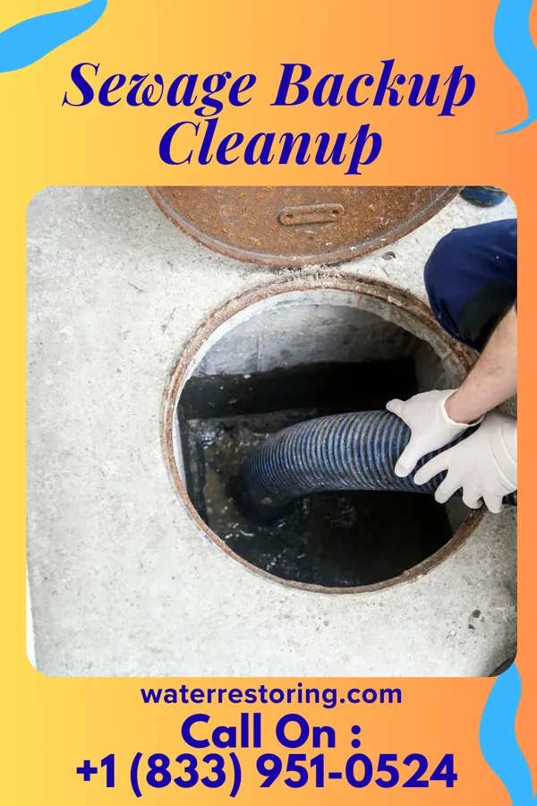 Sewage Backup Cleanup in St. Marys Point, MN