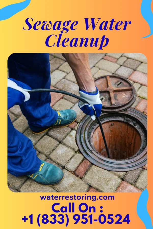 Sewage Water Cleanup in St. Marys Point, MN